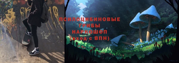 мяу мяу мука Белокуриха
