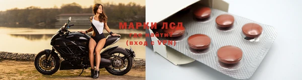 мяу мяу мука Белокуриха