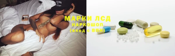 мяу мяу мука Белокуриха