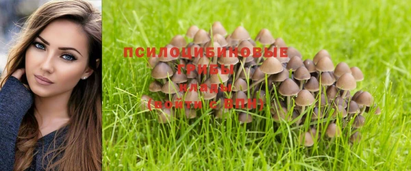 хмурый Беломорск